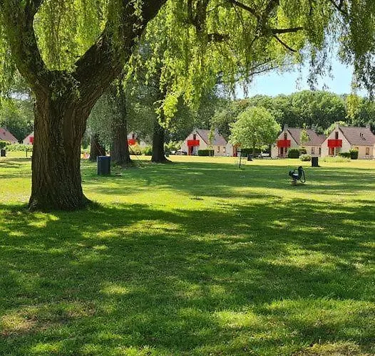 Forest Vip-bungalow At Groene Heuvels *